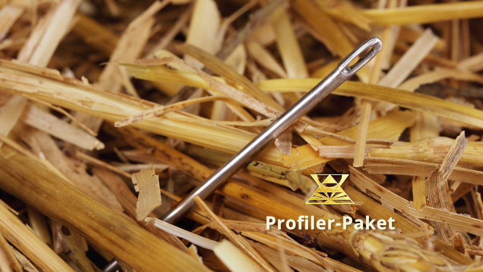 Ursprungsnamen, Coaching in Berlin und Fernarbeit