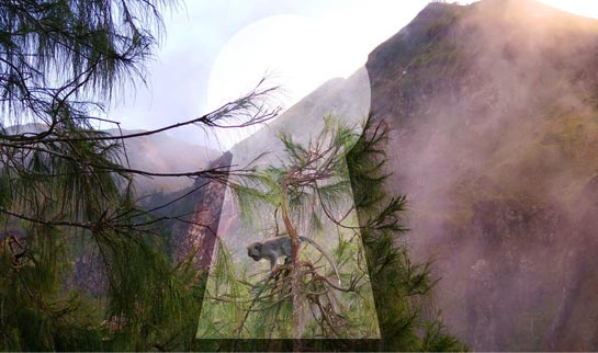 Kraftort Seelenschlüssel, Was ist mein Seelenort?