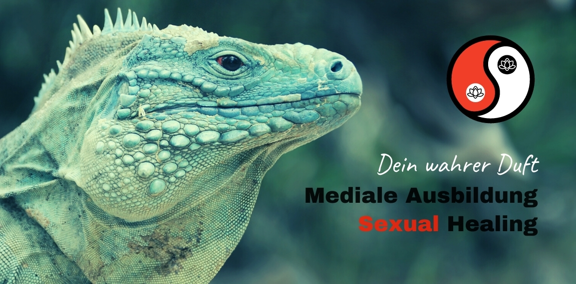 Heilerausbildung, Medialität, Josephines Spirit Blog