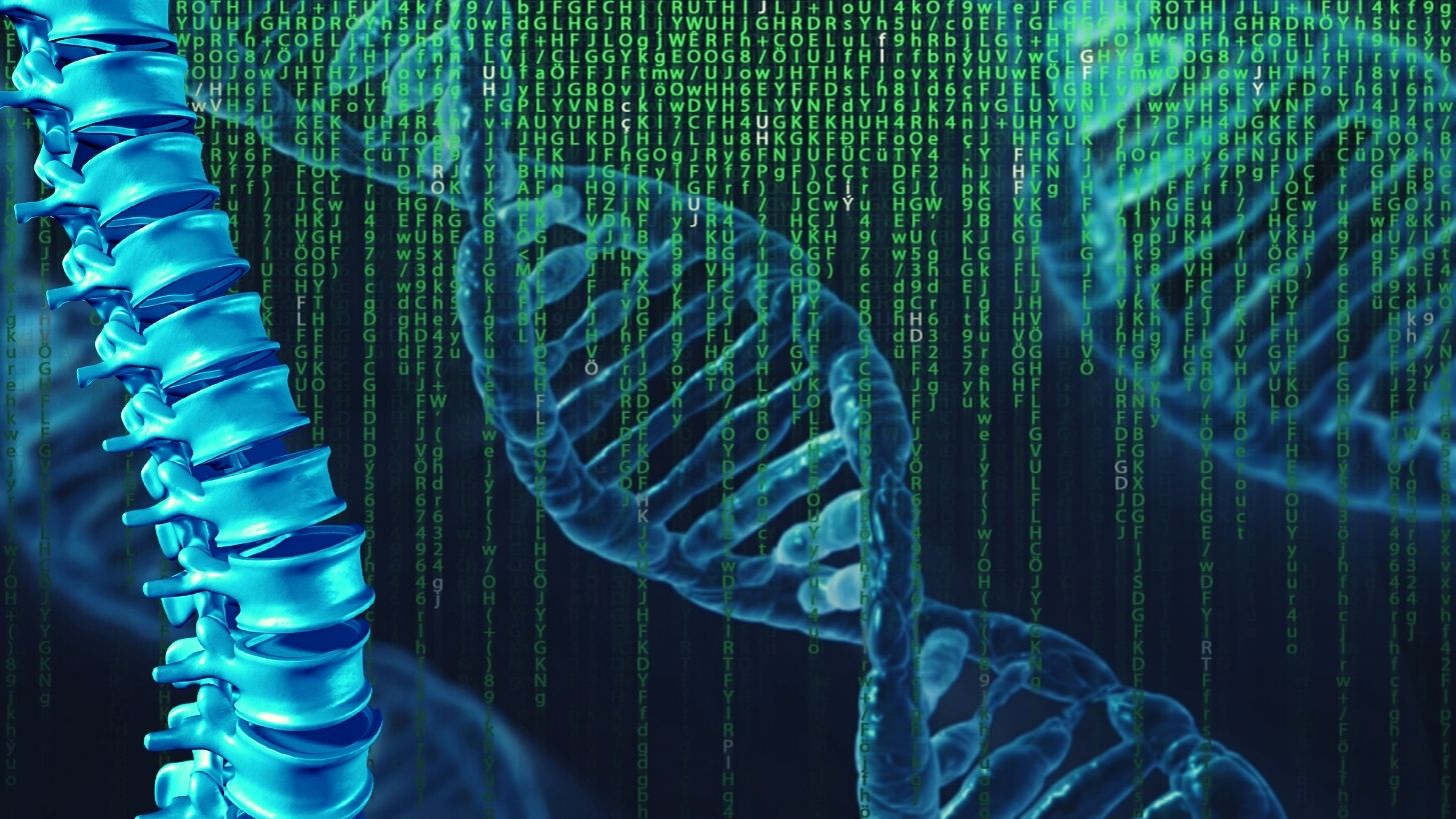 Bin ich ein Starseed?