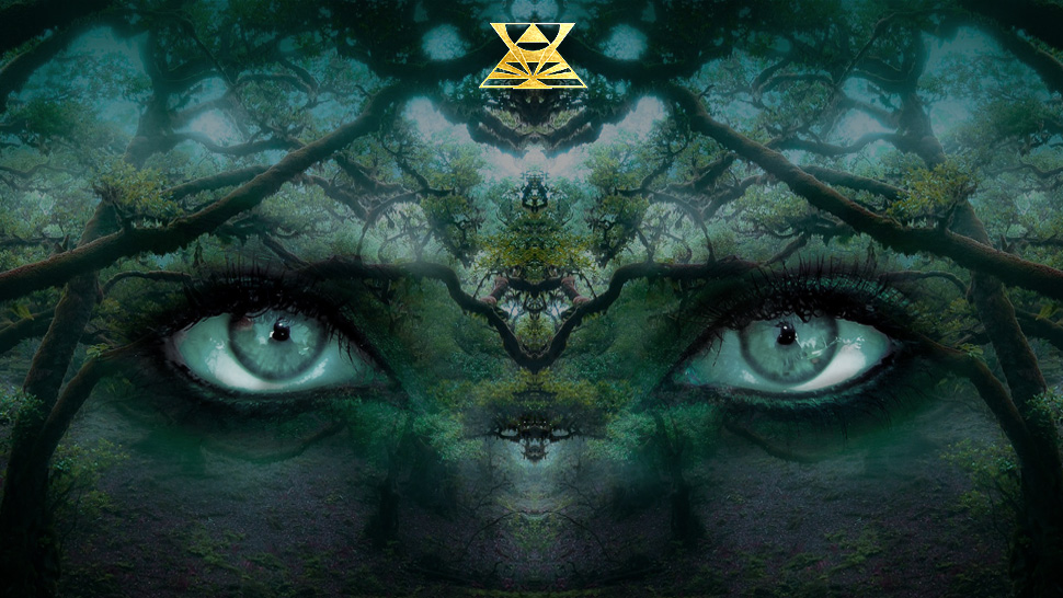 Seelenreise, Rückführung