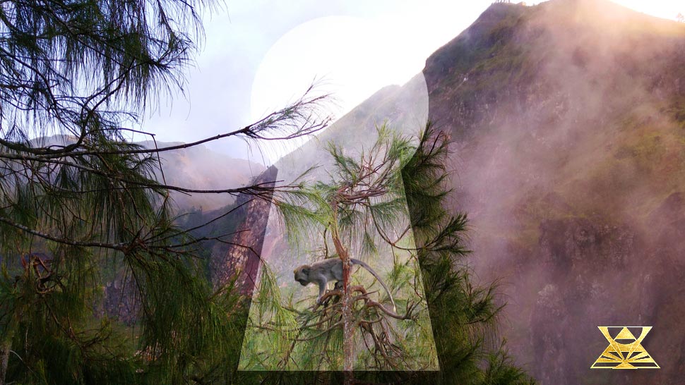 Was ist mein Seelenort?